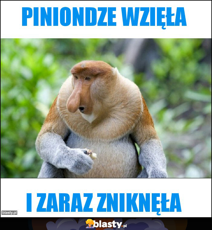 Piniondze wzięła Piniondze wzięła