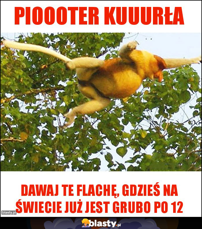Pioooter kuuurła Pioooter kuuurła