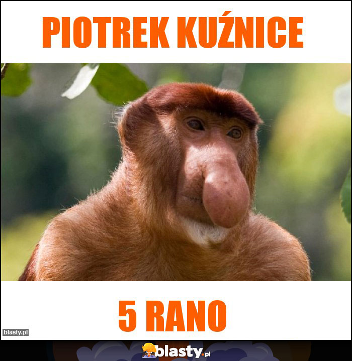 Piotrek Kuźnice