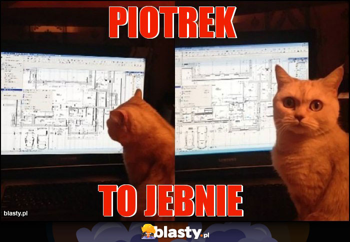 PIOTREK