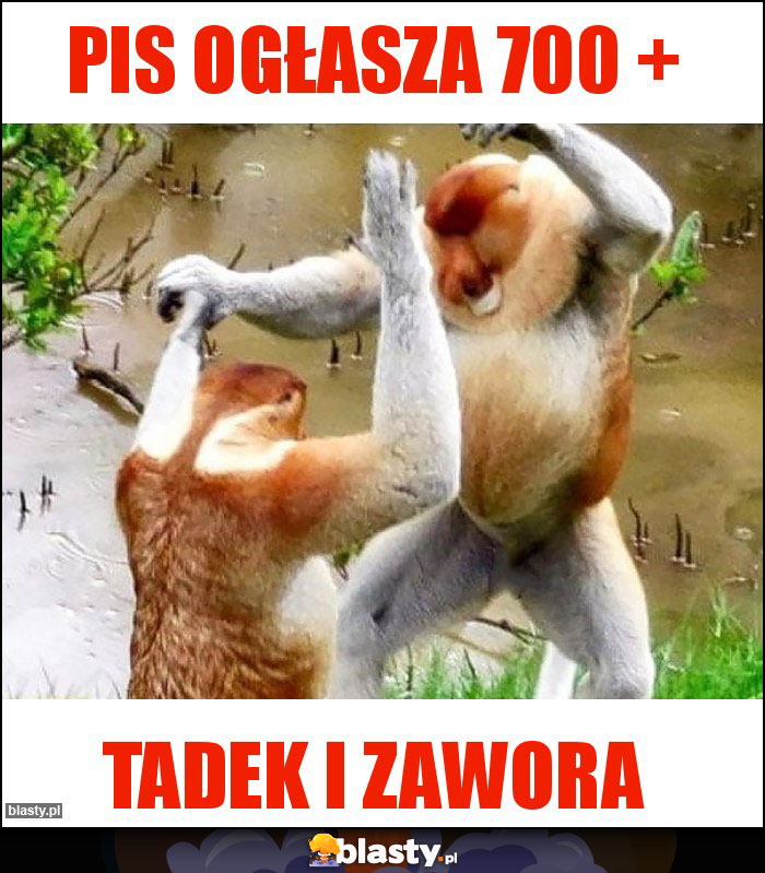 PiS ogłasza 700 +