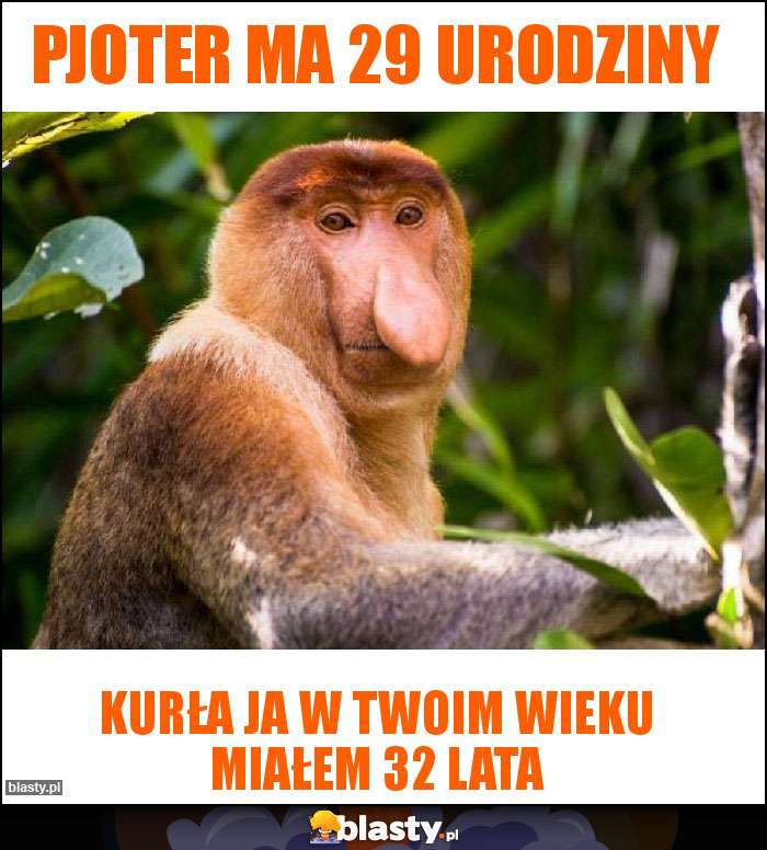 Pjoter ma 29 urodziny Pjoter ma 29 urodziny