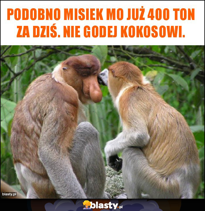 Podobno misiek Mo już 400 ton za dziś. Nie godej kokosowi. Podobno misiek Mo już 400 ton za dziś. Nie godej kokosowi.