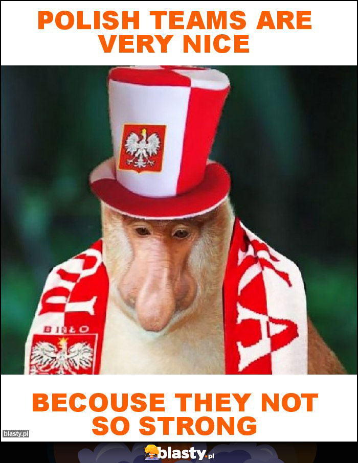 Polish teams are very nice Polish teams are very nice
