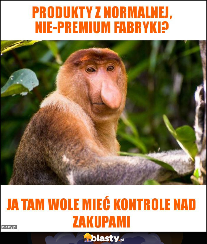 Produkty z normalnej, nie-premium fabryki? Produkty z normalnej, nie-premium fabryki?