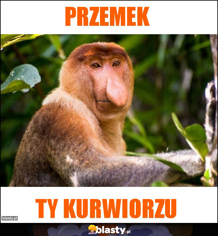 Przemek