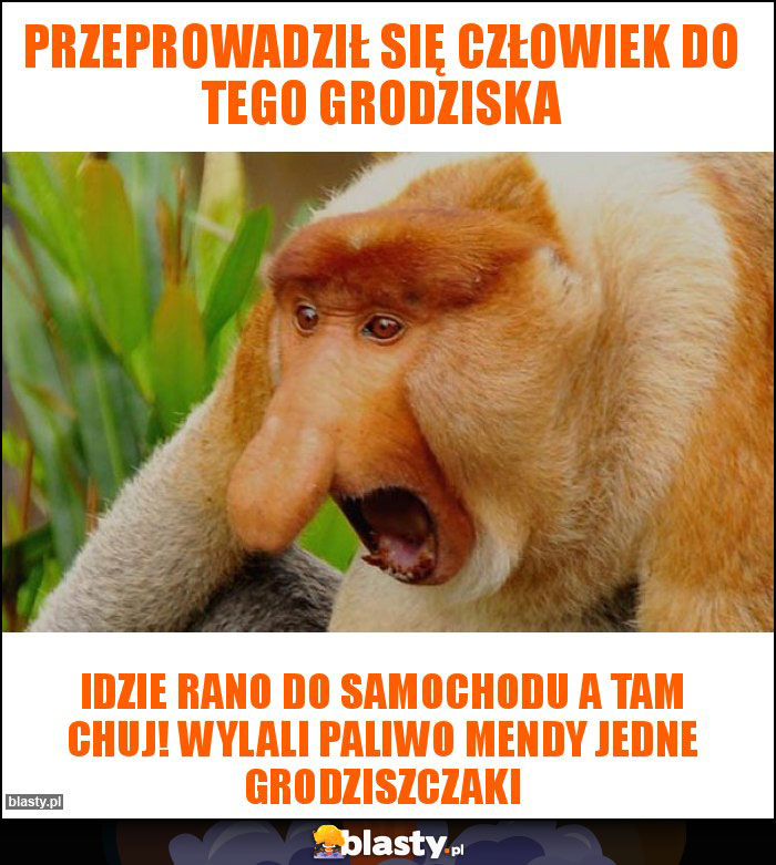 przeprowadził się człowiek do tego Grodziska przeprowadził się człowiek do tego Grodziska