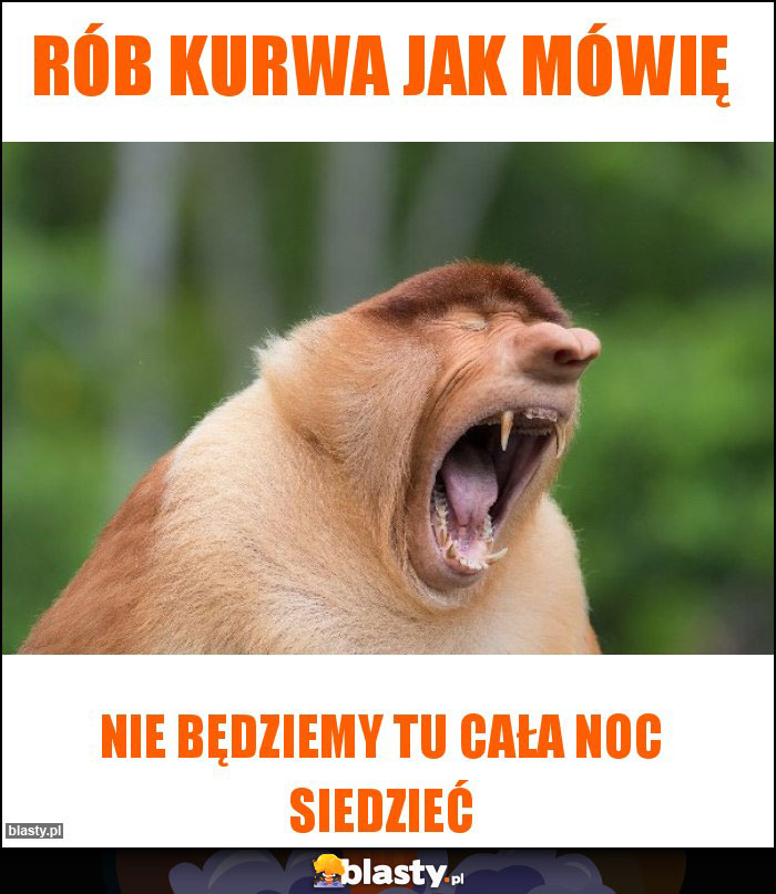 Rób kurwa jak mówię Rób kurwa jak mówię