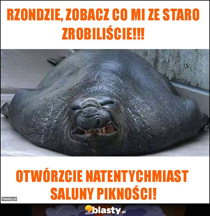 Rzondzie, zobacz co mi ze staro zrobiliście!!! Rzondzie, zobacz co mi ze staro zrobiliście!!!