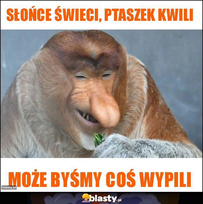 Słońce świeci, ptaszek kwili Słońce świeci, ptaszek kwili