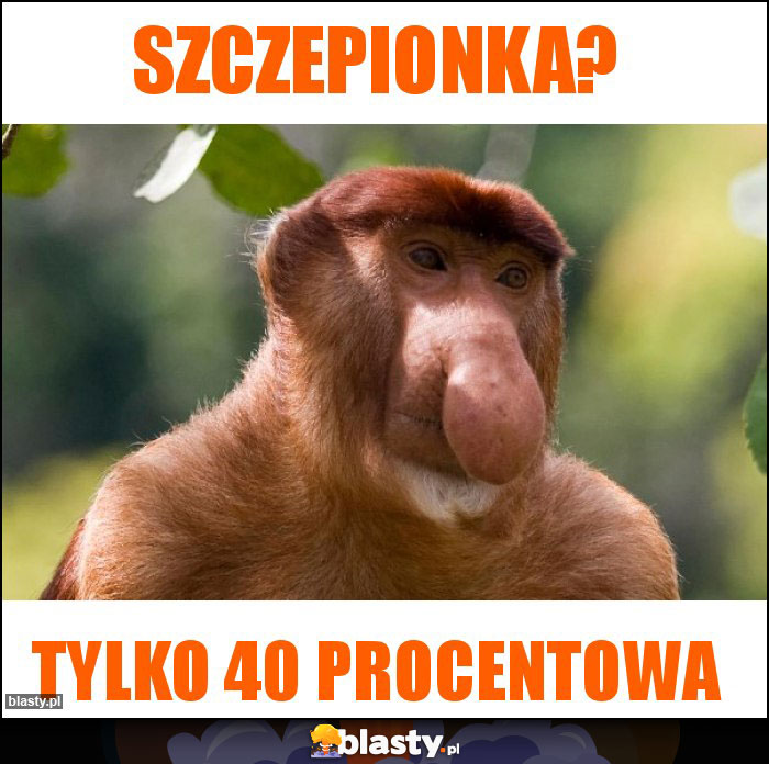 Szczepionka? Szczepionka?