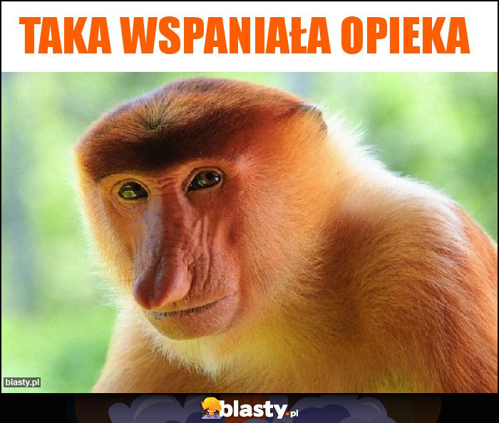 taka wspaniała opieka taka wspaniała opieka