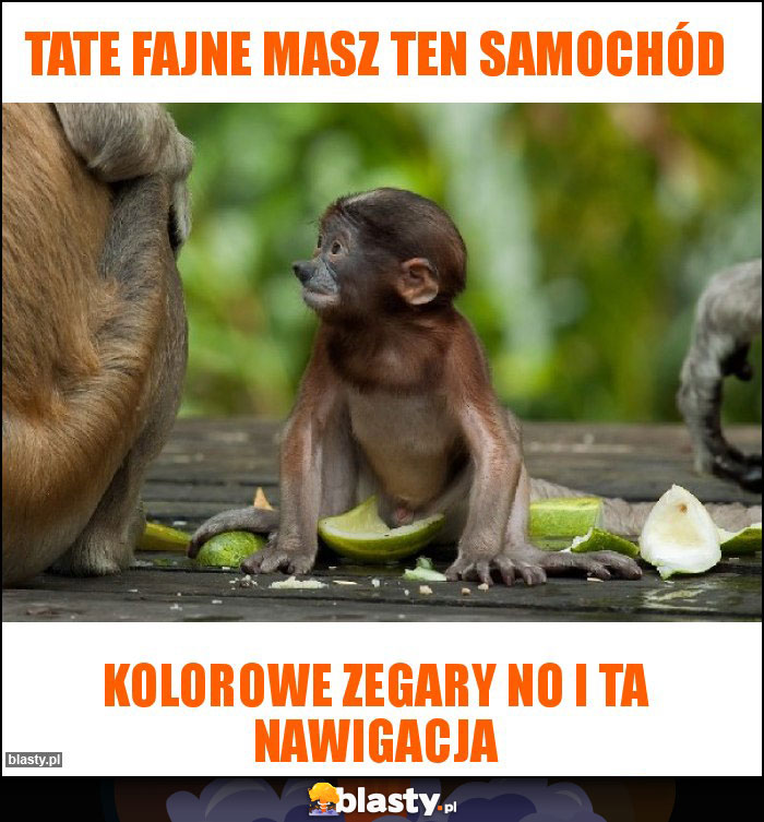 Tate fajne masz ten samochód Tate fajne masz ten samochód