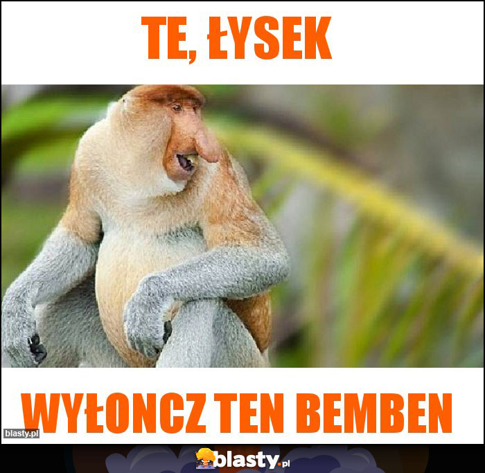 Te, łysek