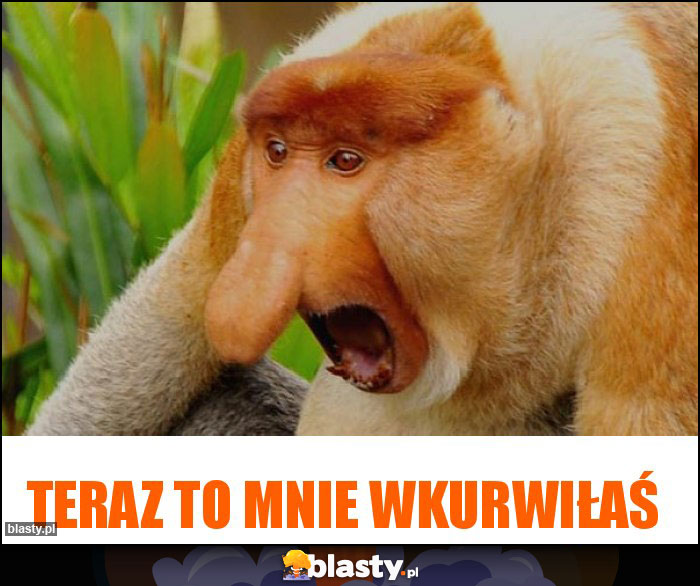 Teraz to mnie wkurwiłaś Teraz to mnie wkurwiłaś