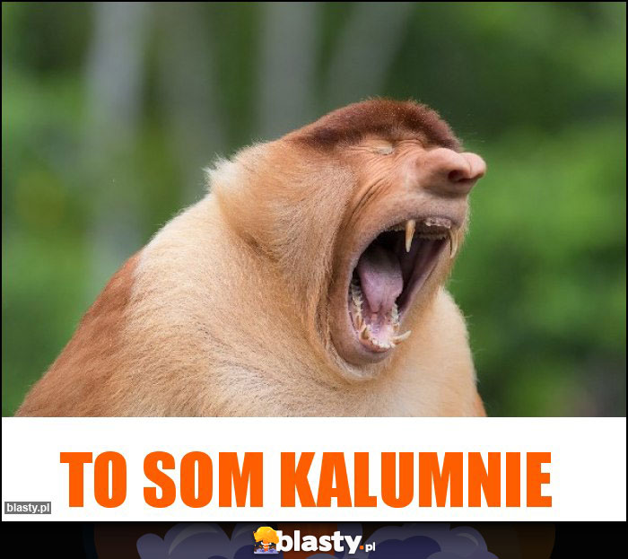 TO SOM KALUMNIE TO SOM KALUMNIE
