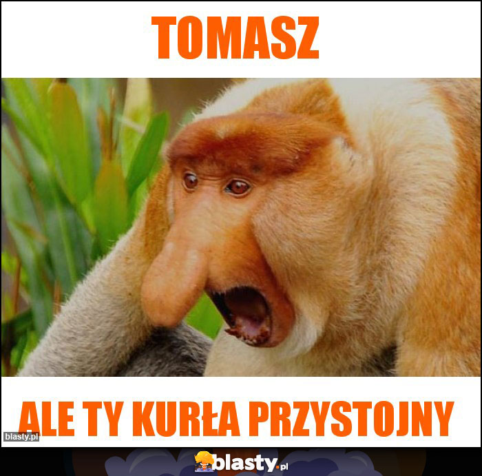 TOMasz