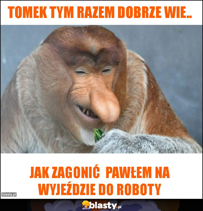 Tomek tym razem dobrze wie.. Tomek tym razem dobrze wie..