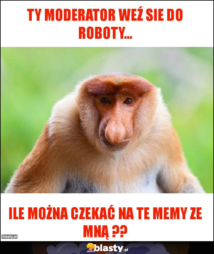 Ty moderator weź sie do roboty... Ty moderator weź sie do roboty...