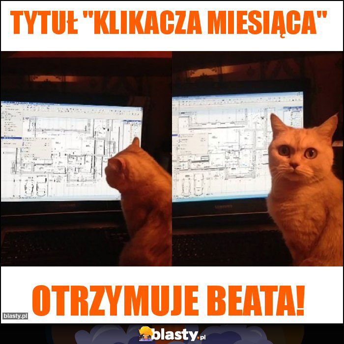 Tytuł Tytuł