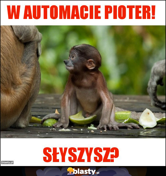 W automacie pioter! W automacie pioter!