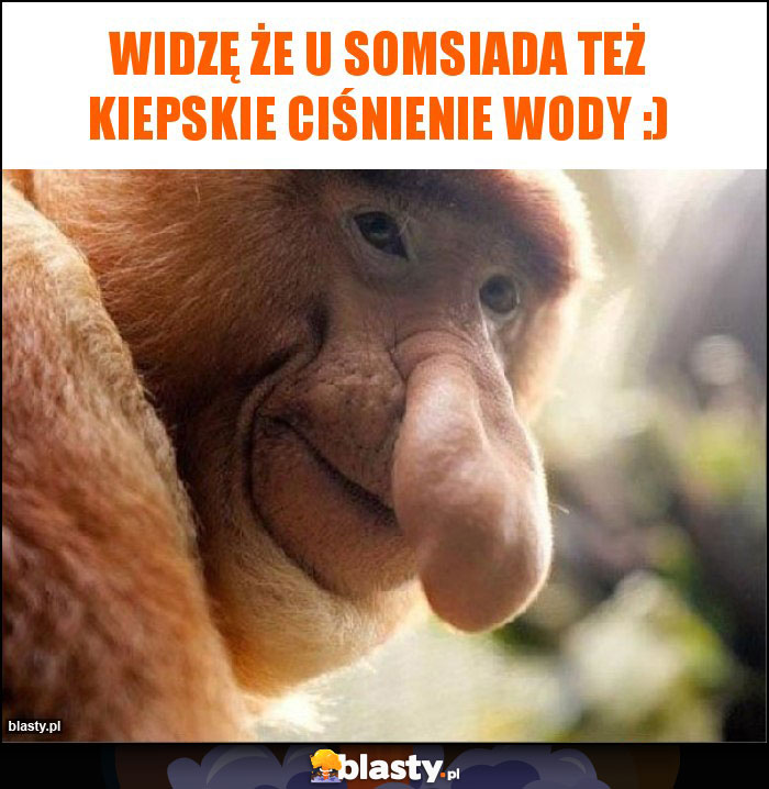 Widzę że u somsiada też kiepskie ciśnienie wody :) Widzę że u somsiada też kiepskie ciśnienie wody :)