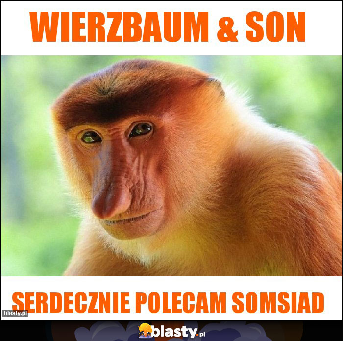 WIERZBAUM & SON WIERZBAUM & SON