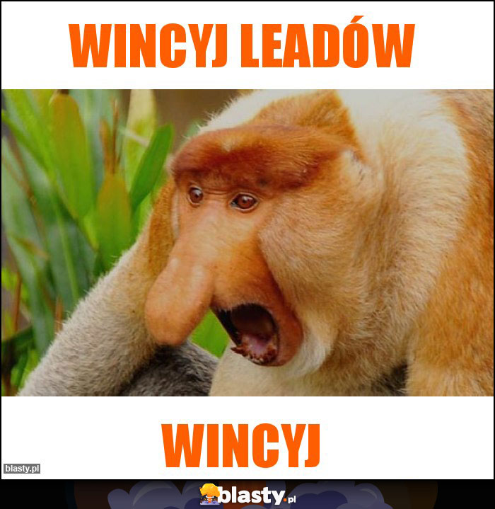 WINCYJ LEADÓW WINCYJ LEADÓW