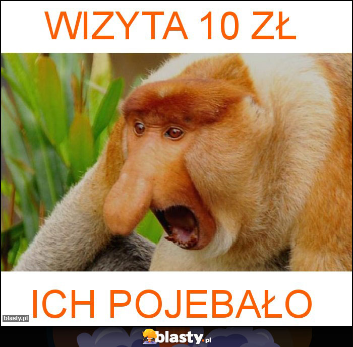 wizyta 10 zł wizyta 10 zł