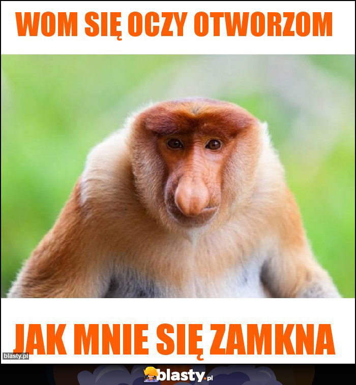 Wom się oczy otworzom Wom się oczy otworzom