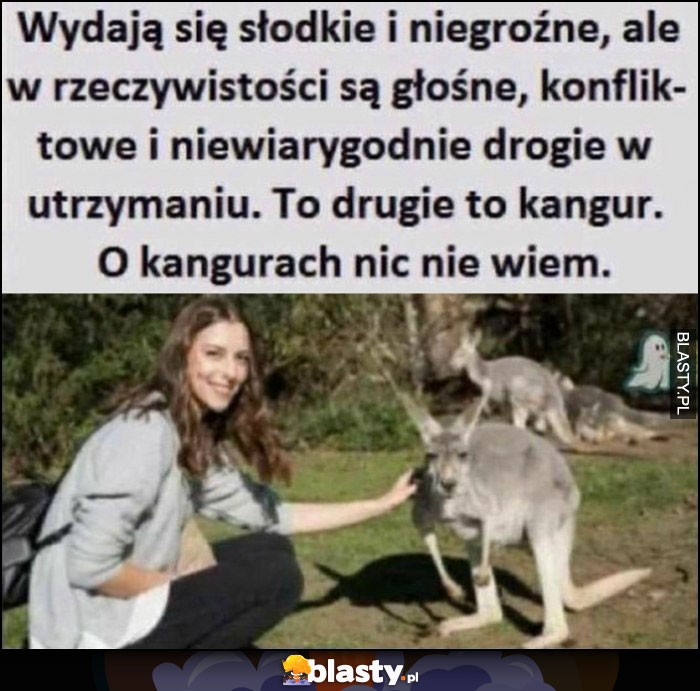 Wydają się słodkie i niegroźne ale w rzeczywistości są głośne, konfliktowe i drogie w utrzymaniu (dziewczyny kobiety), to drugie to kangur, o kangurach nic nie wiem