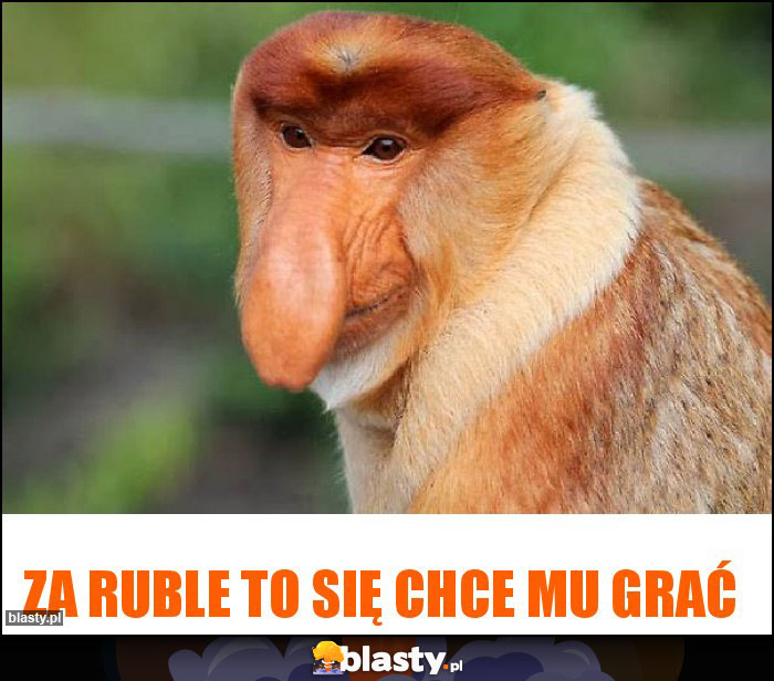 za ruble to się chce mu grać za ruble to się chce mu grać