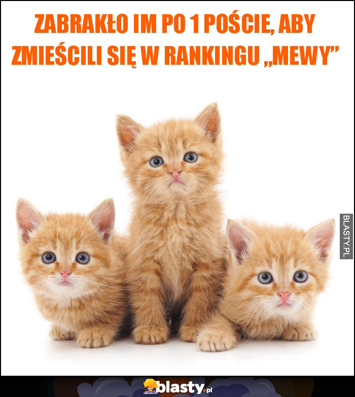 Zabrakło im po 1 poście, aby zmieścili się w rankingu „mewy” Zabrakło im po 1 poście, aby zmieścili się w rankingu „mewy”