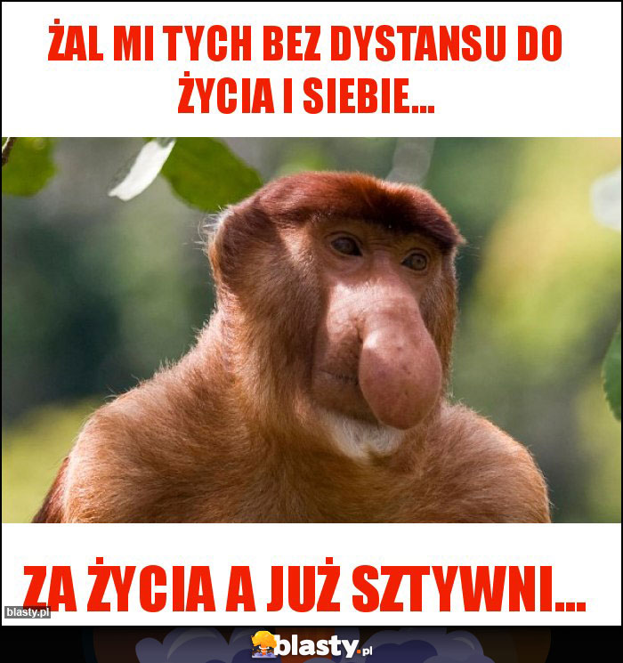 Żal mi tych bez dystansu do życia i siebie... Żal mi tych bez dystansu do życia i siebie...