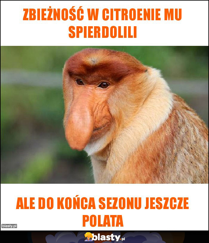 ZBIEŻNOŚĆ W CITROENIE MU SPIERDOLILI ZBIEŻNOŚĆ W CITROENIE MU SPIERDOLILI
