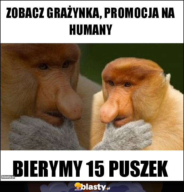 ZOBACZ GRAŻYNKA, PROMOCJA NA HUMANY ZOBACZ GRAŻYNKA, PROMOCJA NA HUMANY