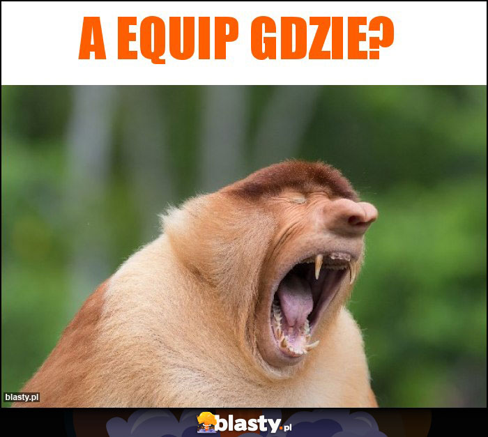 A EQUIP GDzie? A EQUIP GDzie?