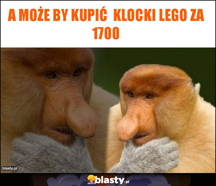 a może by kupić klocki lego za 1700 a może by kupić klocki lego za 1700