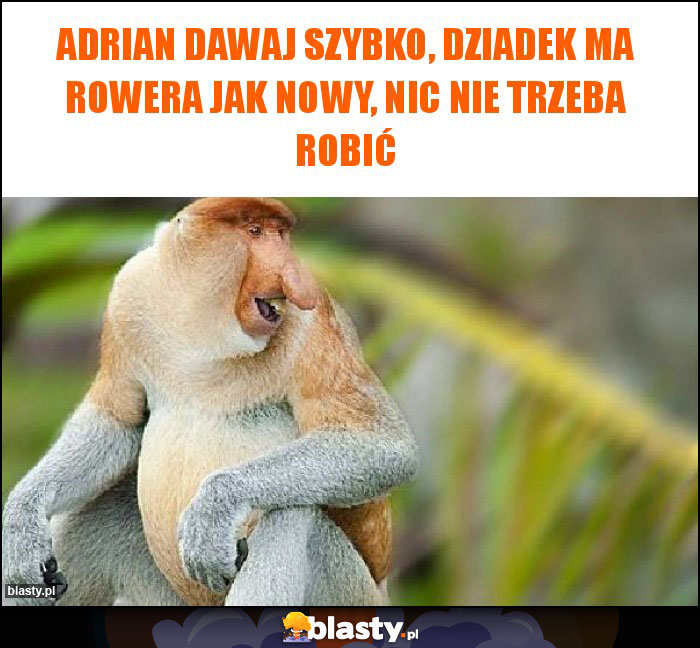 Adrian dawaj szybko, dziadek ma rowera jak nowy, nic nie trzeba robić Adrian dawaj szybko, dziadek ma rowera jak nowy, nic nie trzeba robić