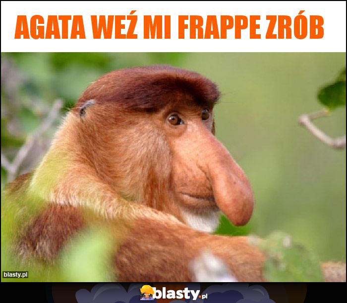 Agata weź mi frappe zrób Agata weź mi frappe zrób