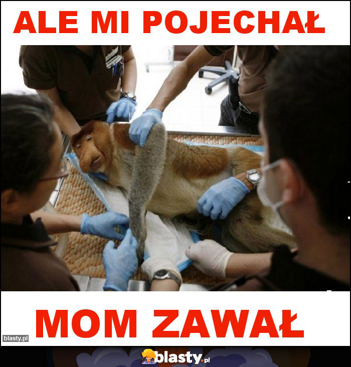 ALE MI POJECHAŁ ALE MI POJECHAŁ