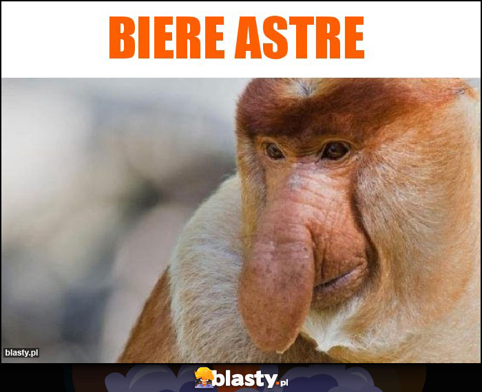 Biere Astre Biere Astre