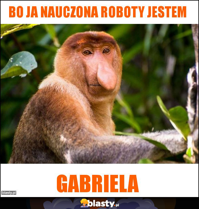 Bo ja nauczona roboty jestem