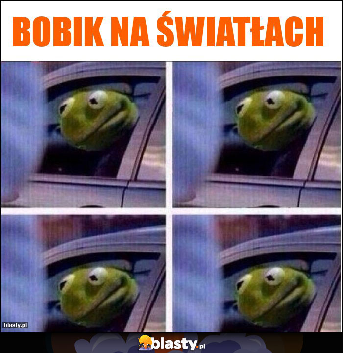 Bobik na światłach Bobik na światłach
