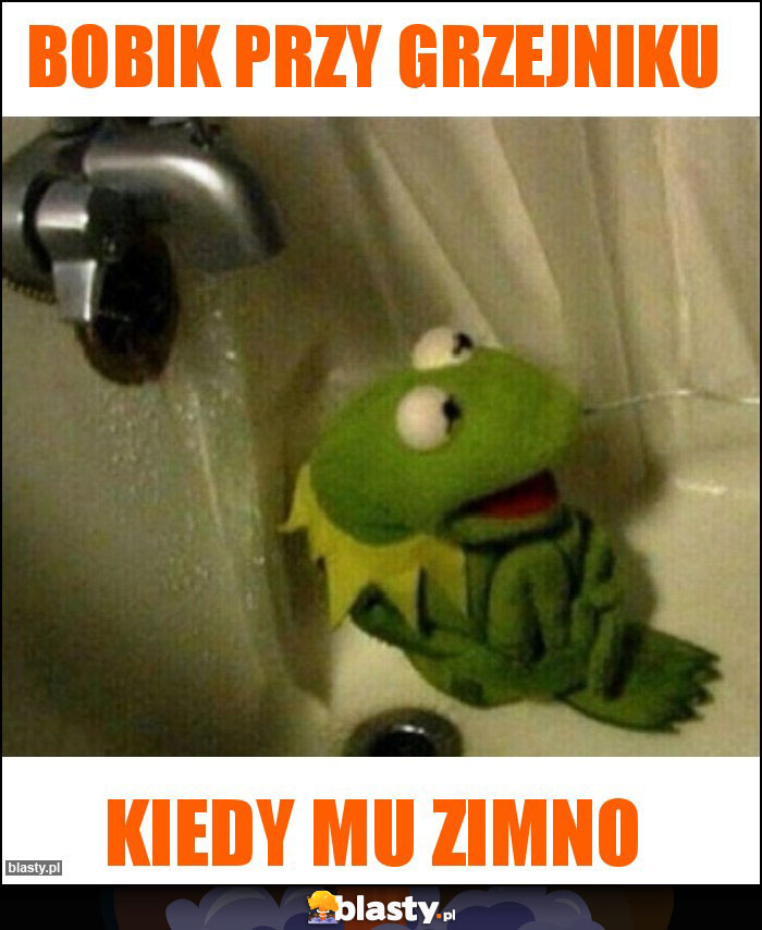 Bobik przy grzejniku Bobik przy grzejniku
