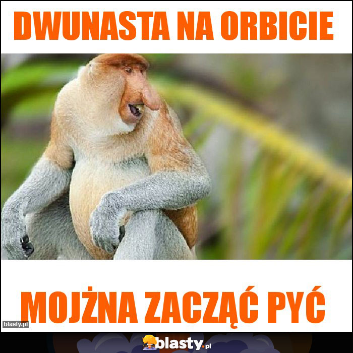 Dwunasta na orbicie Dwunasta na orbicie