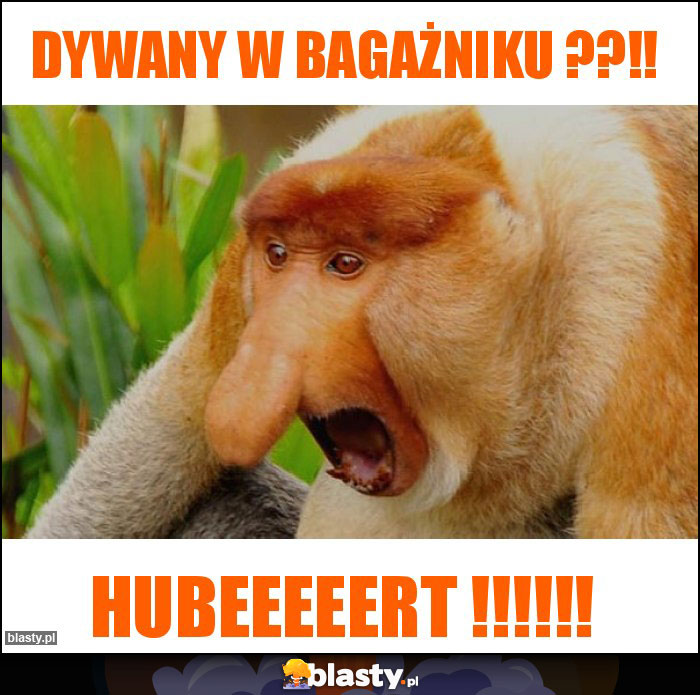 DYWANY W BAGAŻNIKU ??!! DYWANY W BAGAŻNIKU ??!!