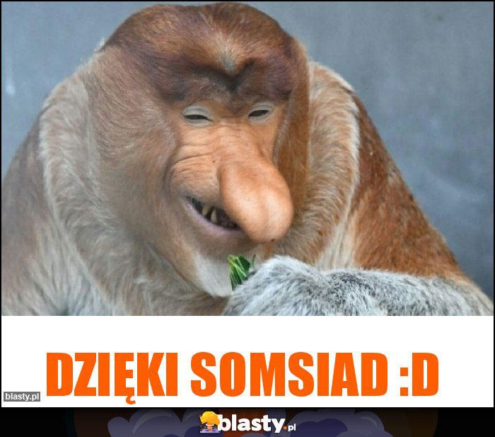 DZIĘKI SOMSIAD :D DZIĘKI SOMSIAD :D