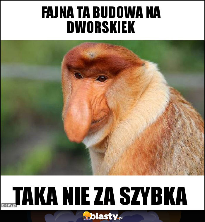 Fajna ta budowa na dworskiek Fajna ta budowa na dworskiek