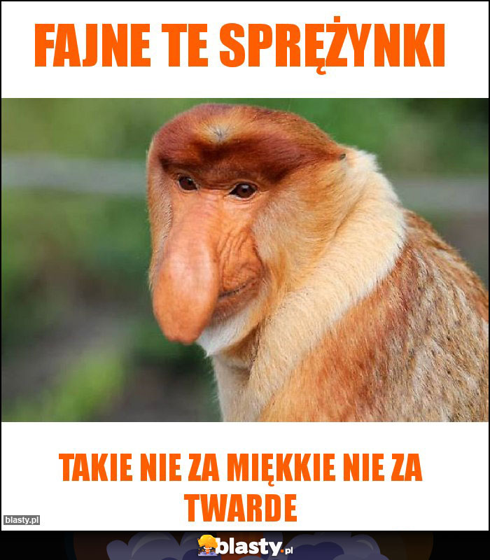 Fajne te sprężynki Fajne te sprężynki